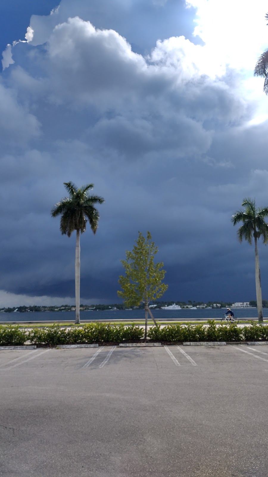 South County Mental Health Center